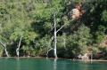 IMG_0004 Basses Gorges du Verdon