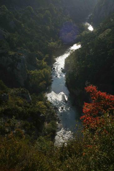 IMG_1168 Etroit de Samson Gorges du Verdon Debut Canyon