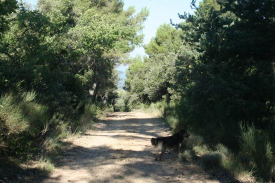 IMG_9697 Vinon sur Verdon