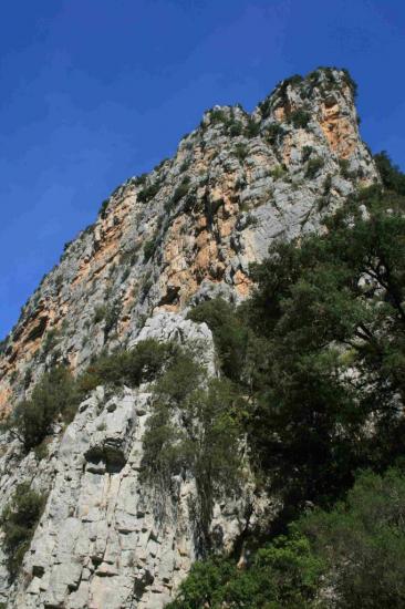 IMG_9932 Basses Gorges du Verdon